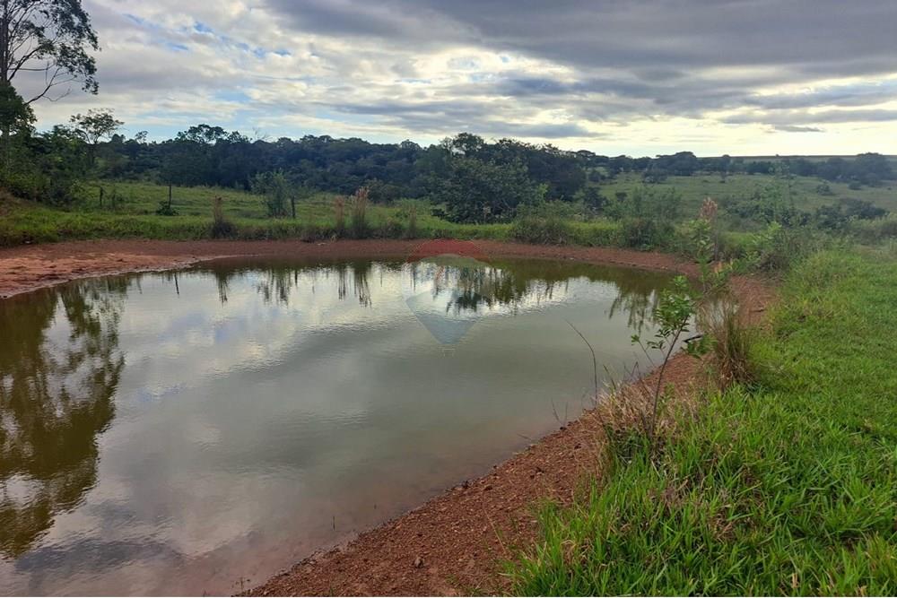 Fazenda - Venda - Cajuru , São Paulo - IMG-20250406-WA0097.jpg - 780171030-57