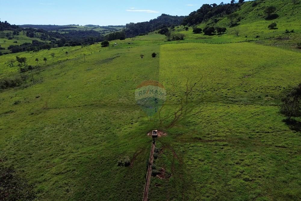 Fazenda - Venda - Cajuru , São Paulo - DJI_0013.JPG - 780171030-74