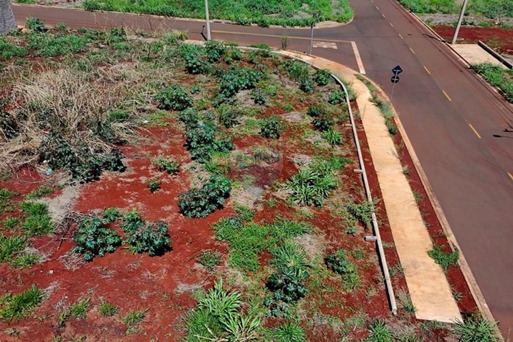 Terreno - Venda - Ribeirão Preto , São Paulo - 10.jpeg - 780251022-9