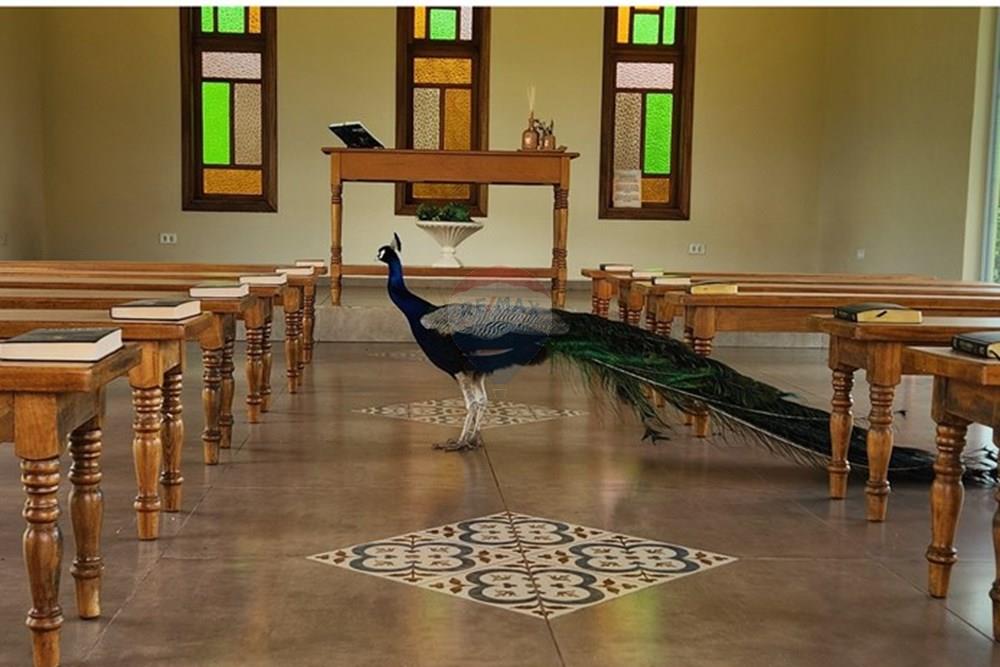 Chácara / Sítio / Fazenda - Venda - São Sebastião do Paraíso , Minas Gerais - 10.jpg - 780251022-11