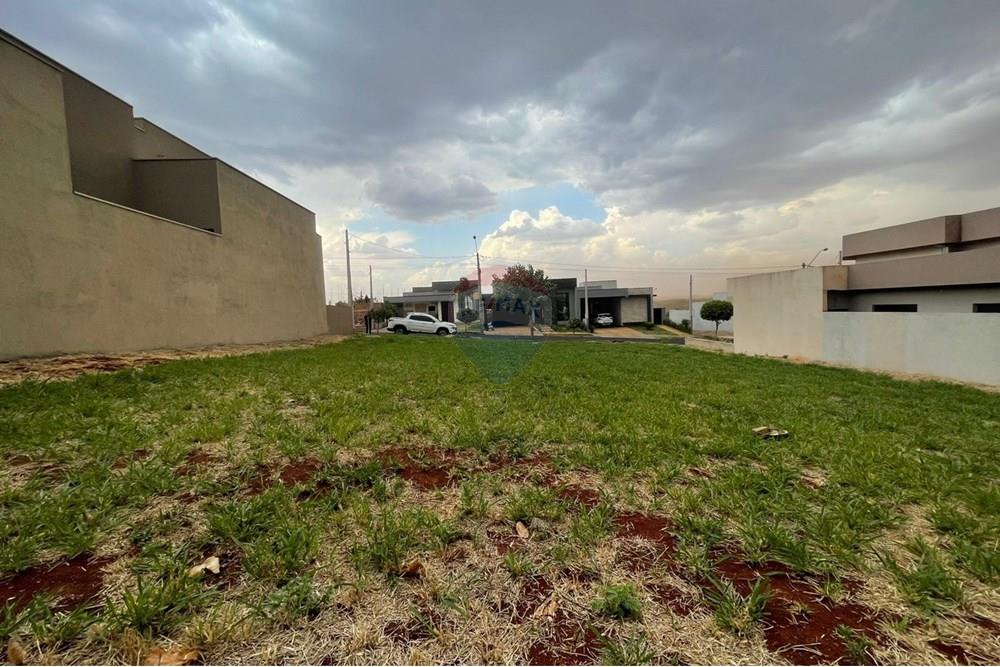 Terreno - Venda - Ribeirão Preto , São Paulo - WhatsApp Image 2025-10-27 at 12.05.32 (3).jpeg - 780171048-102