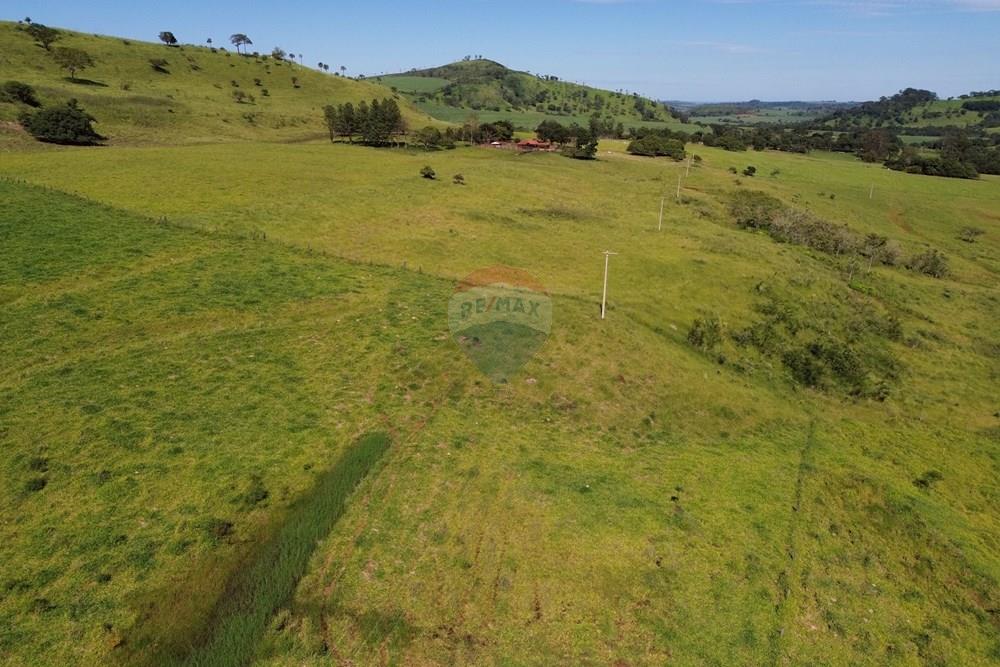 Fazenda - Venda - Cajuru , São Paulo - DJI_0020.JPG - 780171030-74