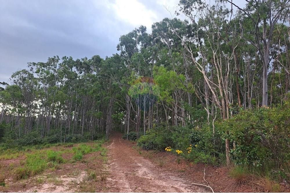 Fazenda - Venda - Cajuru , São Paulo - IMG-20250406-WA0035.jpg - 780171030-57