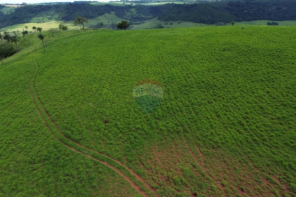 Fazenda - Venda - Cajuru , São Paulo - DJI_0039.JPG - 780171030-74