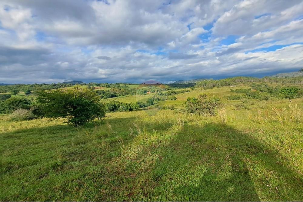 Chácara / Sítio / Fazenda - Venda - Cajuru , São Paulo - IMG-20250406-WA0166.jpg - 780171030-59