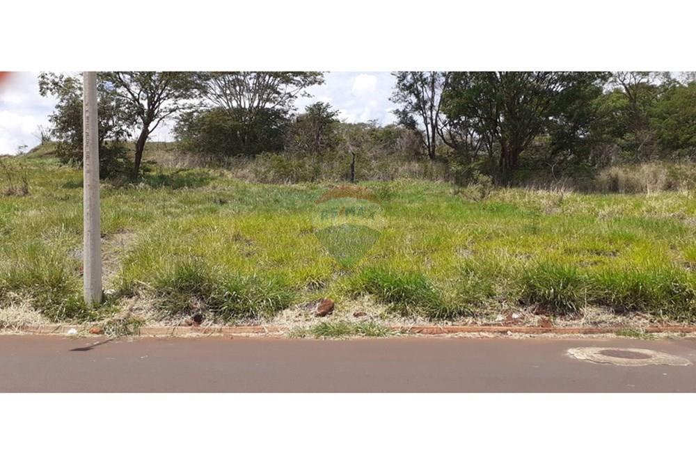 Terreno - Venda - São Joaquim da Barra , São Paulo - IMG-20251202-WA0141.jpg - 780301010-7