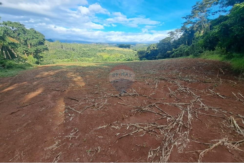 Fazenda - Venda - Cajuru , São Paulo - IMG-20250406-WA0194.jpg - 780171030-57