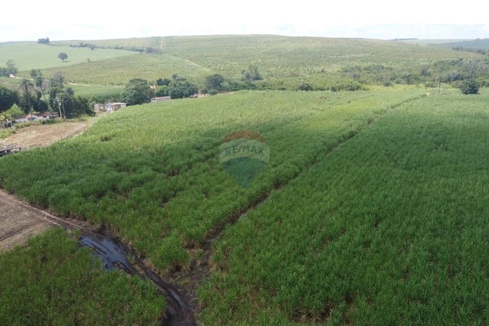 Fazenda - Venda - Altinópolis , São Paulo - DJI_0664.JPG - 780071012-246