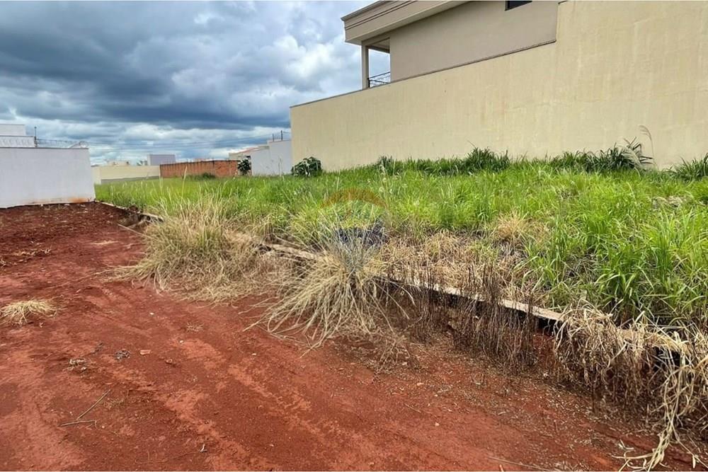 Terreno - Venda - São Joaquim da Barra , São Paulo - WhatsApp Image 2026-01-23 at 16.00.43.jpeg - 780301001-33