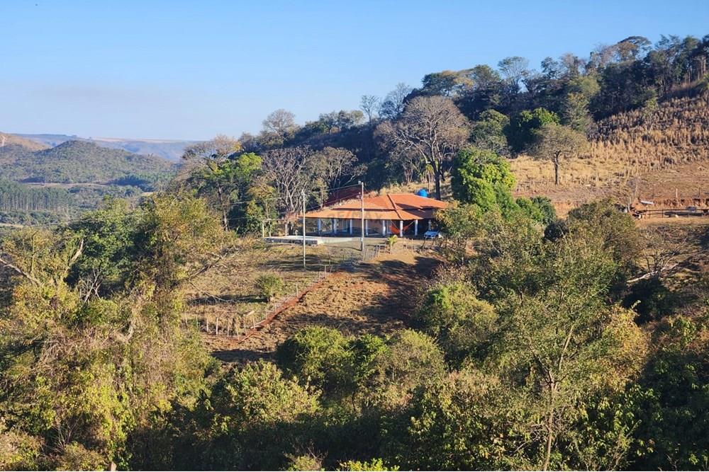 Chácara / Sítio / Fazenda - Venda - Pratápolis , Minas Gerais - WhatsApp Image 2025-08-16 at 15.53.01 (1).jpeg - 780191018-8