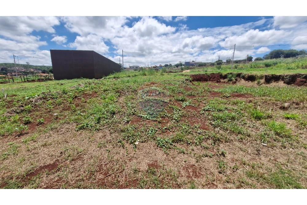 Terreno - Venda - Dumont , São Paulo - WhatsApp Image 2026-02-27 at 13.00.17.jpeg - 780181011-292