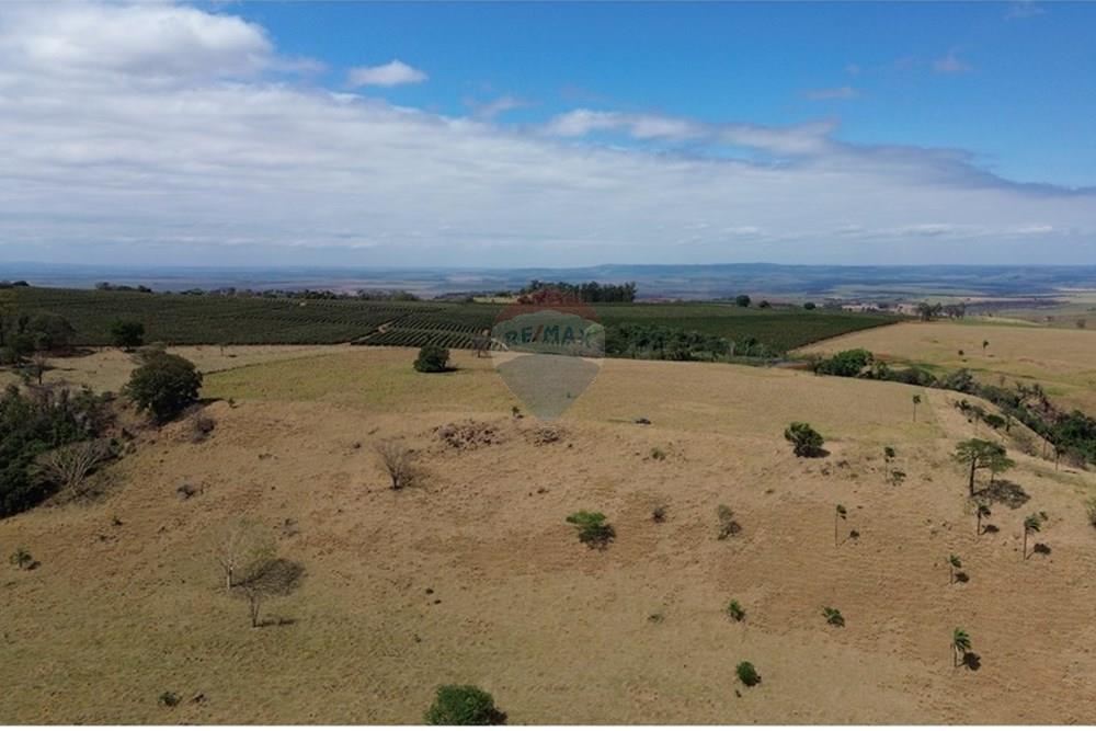 Fazenda - Venda - Cajuru , São Paulo - DJI_0295.JPG - 780171030-74