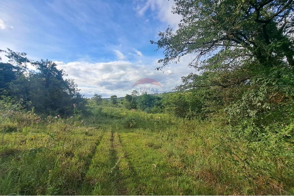 Fazenda - Venda - Cajuru , São Paulo - IMG-20250406-WA0187.jpg - 780171030-57