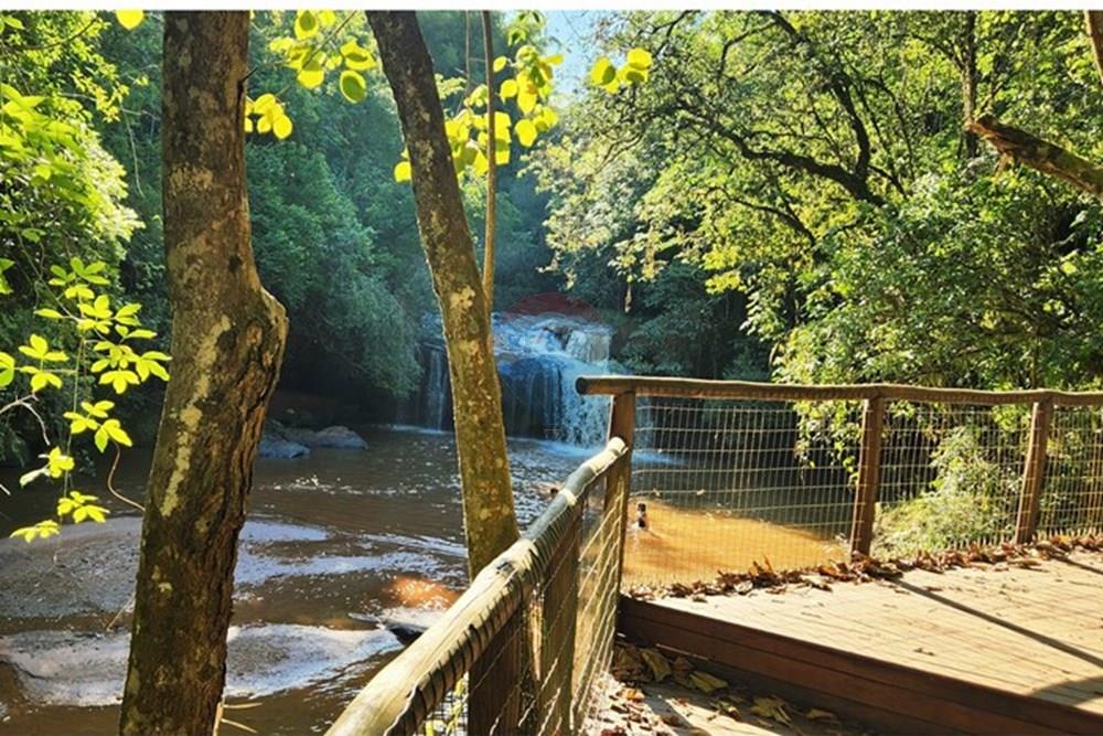 Chácara / Sítio / Fazenda - Venda - São Sebastião do Paraíso , Minas Gerais - 31.jpg - 780251022-11