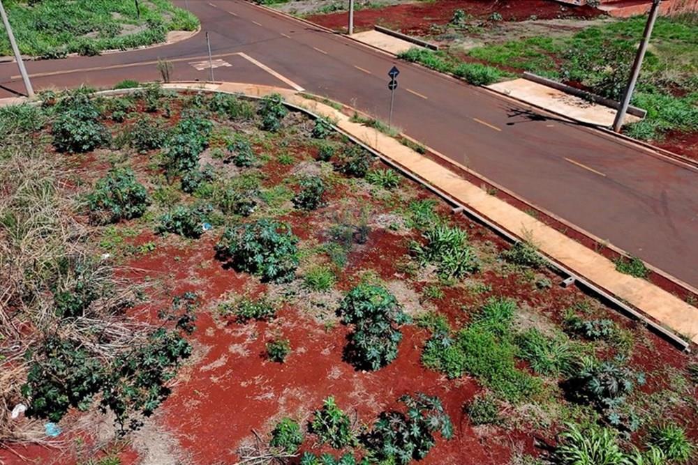 Terreno - Venda - Ribeirão Preto , São Paulo - 7.jpeg - 780251022-9