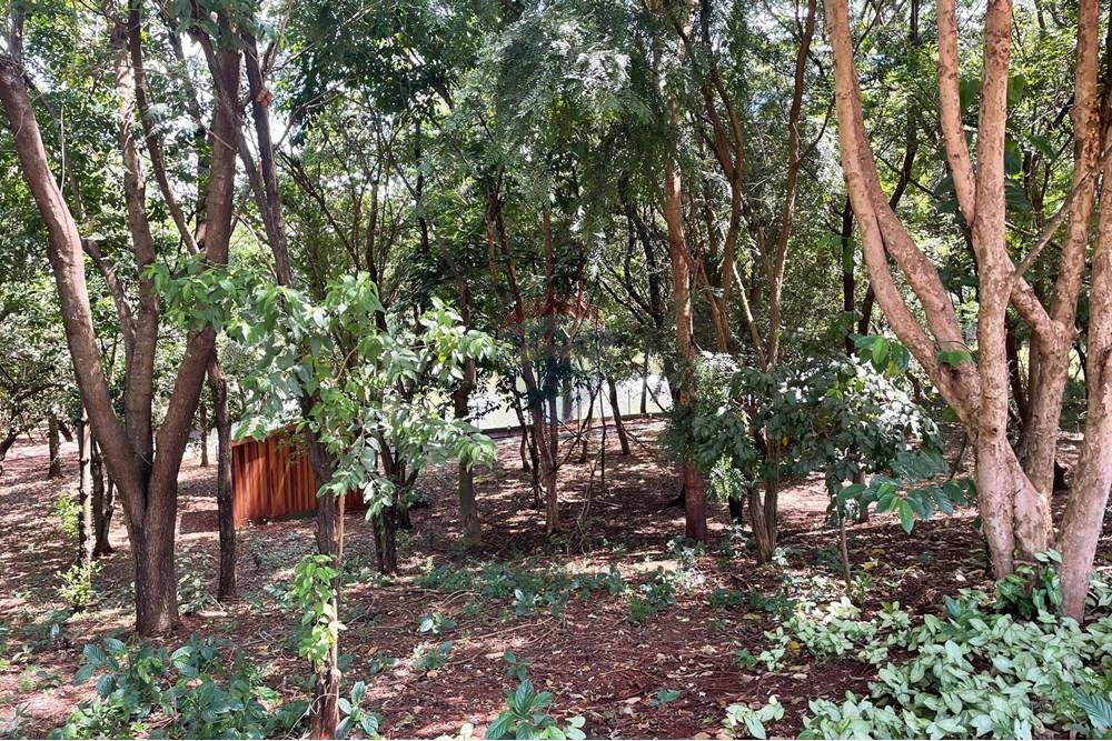 Terreno - Venda - Ribeirão Preto , São Paulo - Bosque.jpg - 780171068-11