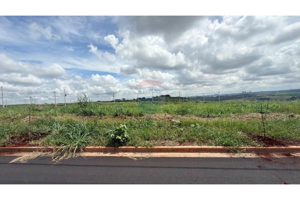 Terreno - Venda - Ribeirão Preto , São Paulo - IMG_7886.JPG - 780121020-93