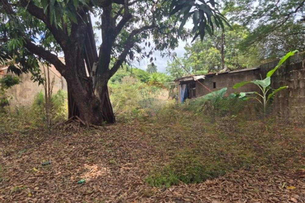 Terreno - Venda - Ribeirão Preto , São Paulo - 04_cleanup.jpg - 780171061-5