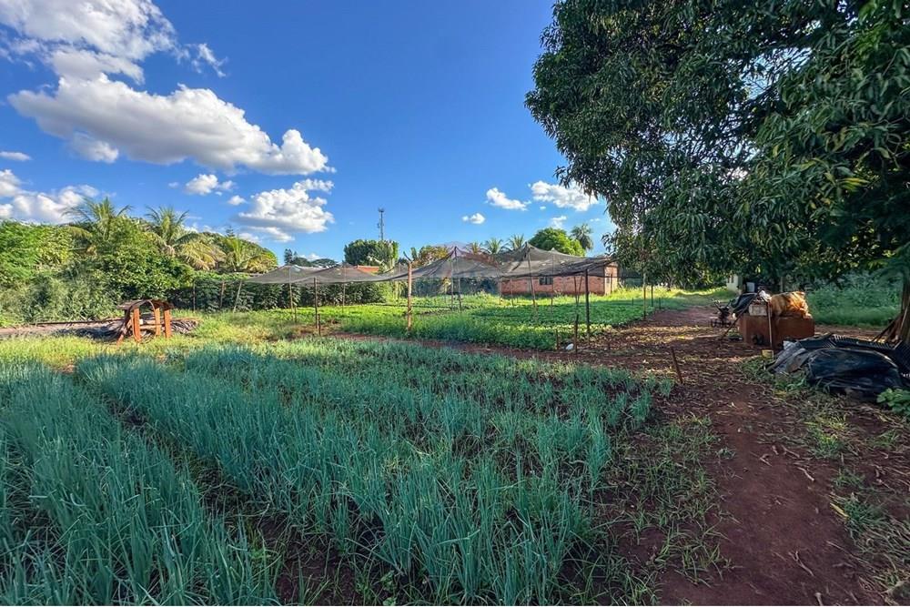 Terreno - Venda - Ribeirão Preto , São Paulo - 13.jpg - 780241010-16