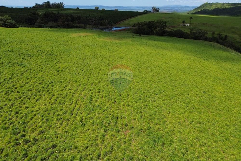 Fazenda - Venda - Cajuru , São Paulo - DJI_0046.JPG - 780171030-74