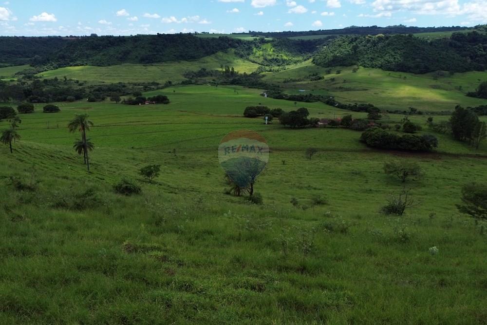 Fazenda - Venda - Cajuru , São Paulo - DJI_0061.JPG - 780171030-74