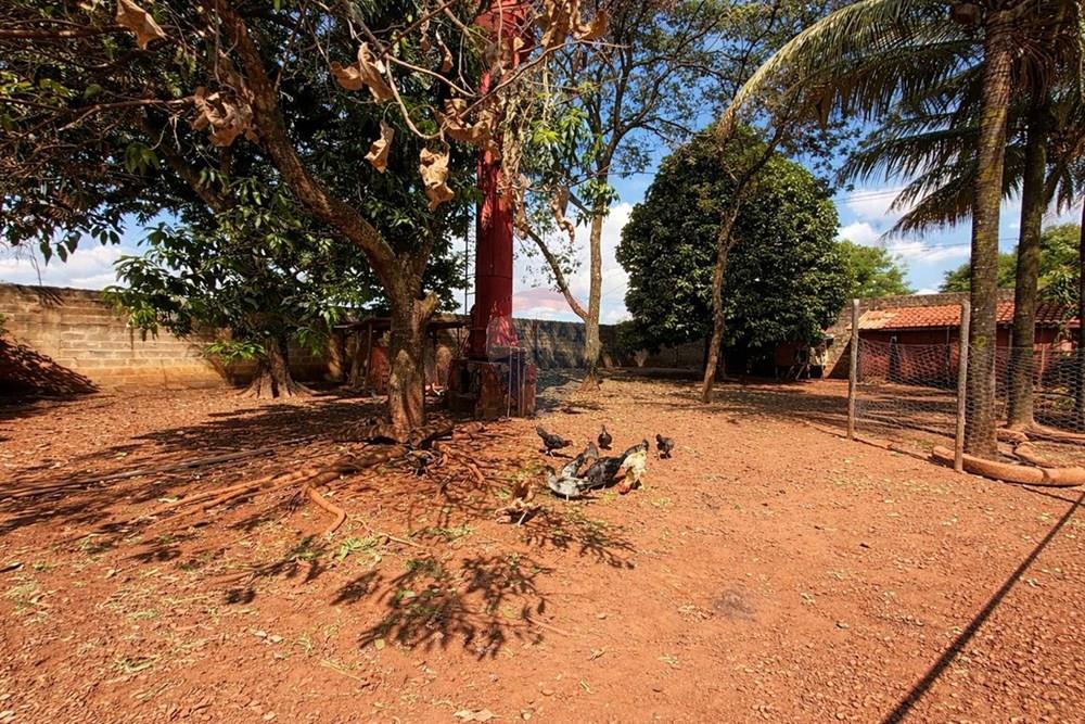 Chácara / Sítio / Fazenda - Venda - Sertãozinho , São Paulo - WhatsApp Image 2026-03-17 at 01.09.09 (1).jpeg - 780191016-54