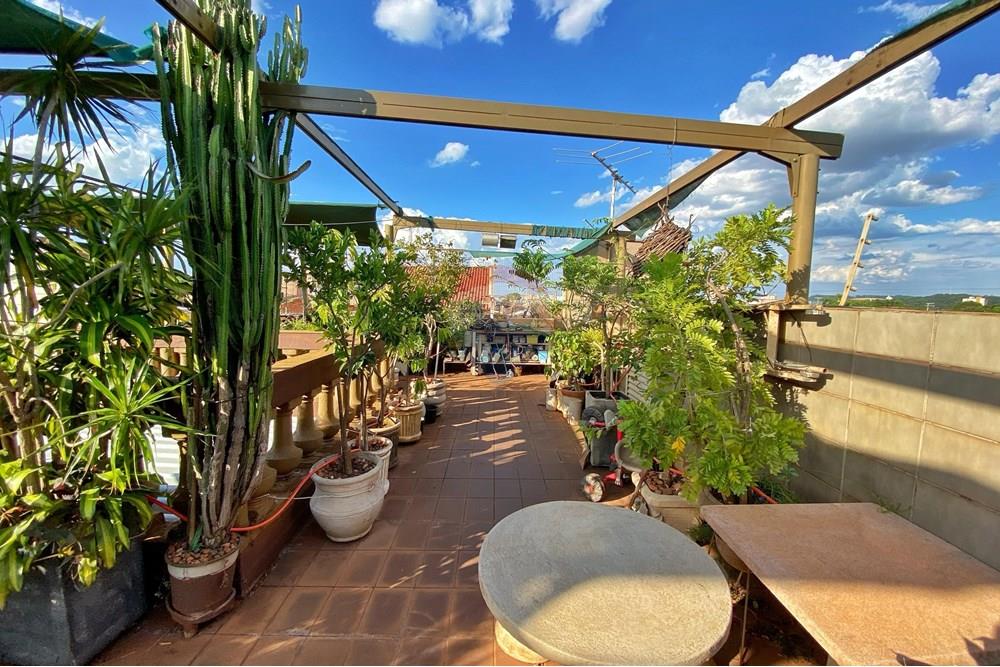 Casa - Venda - Ribeirão Preto , São Paulo - 8abb0456-4e7b-4fbe-be40-d6f13e7ee70c.jpg - 780171018-317