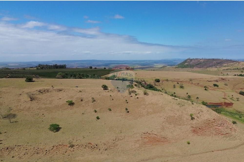 Fazenda - Venda - Cajuru , São Paulo - DJI_0291.JPG - 780171030-74