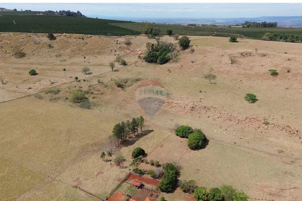 Chácara / Sítio / Fazenda - Venda - Cajuru , São Paulo - DJI_0289.JPG - 780171030-77