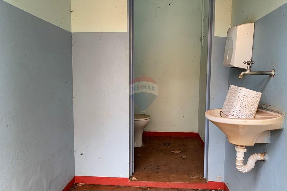 Casa Comercial - Alugar - Ribeirão Preto , São Paulo - WhatsApp Image 2025-02-03 at 10.59.11.jpeg - 780171030-78