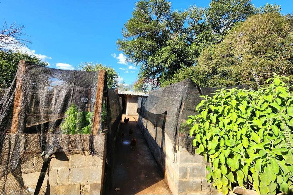 Chácara / Sítio / Fazenda - Venda - Ribeirão Preto , São Paulo - WhatsApp Image 2025-06-27 at 11.00.05 (1).jpeg - Pátio interno - 780091032-138