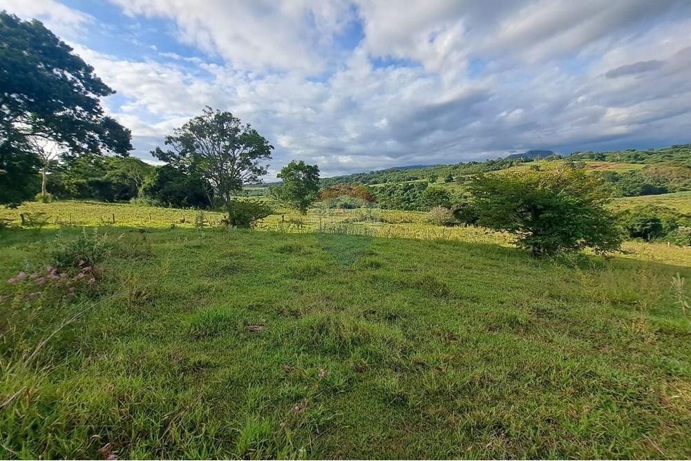 Chácara / Sítio / Fazenda - Venda - Cajuru , São Paulo - IMG-20250406-WA0164.jpg - 780171030-59