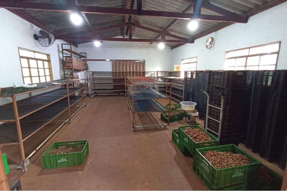 Fazenda - Venda - Cajuru , São Paulo - IMG_20241031_162823.jpg - 780271061-50