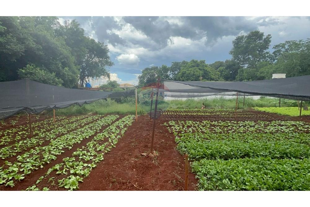 Terreno - Venda - Ribeirão Preto , São Paulo - della ricci 6.jpg - 780241010-16