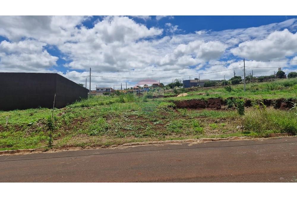 Terreno - Venda - Dumont , São Paulo - WhatsApp Image 2026-02-27 at 13.00.16 (3).jpeg - 780181011-292