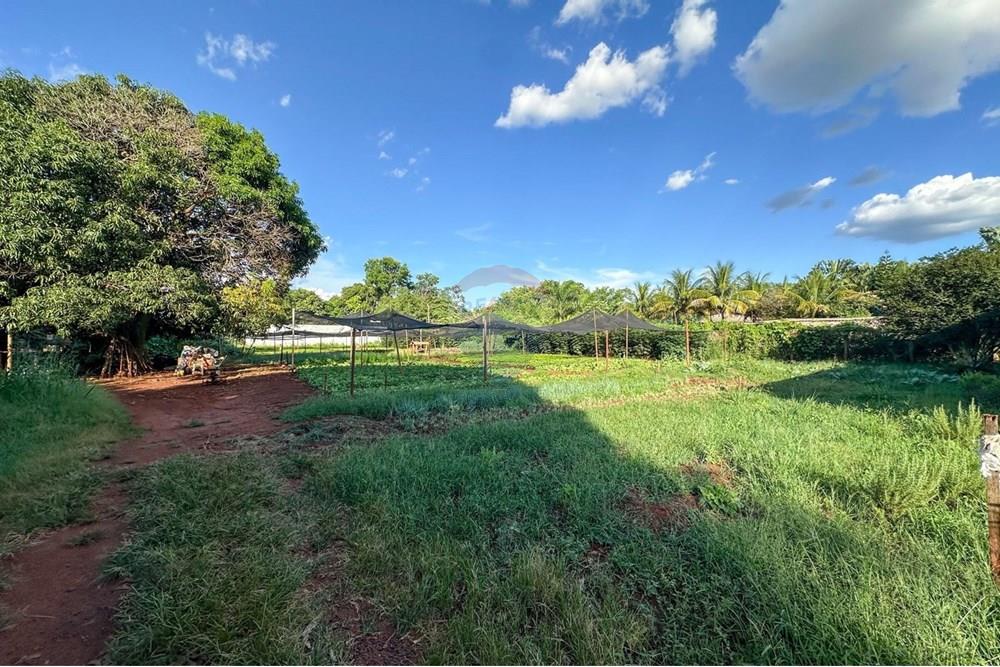 Terreno - Venda - Ribeirão Preto , São Paulo - 26.jpg - 780241010-16