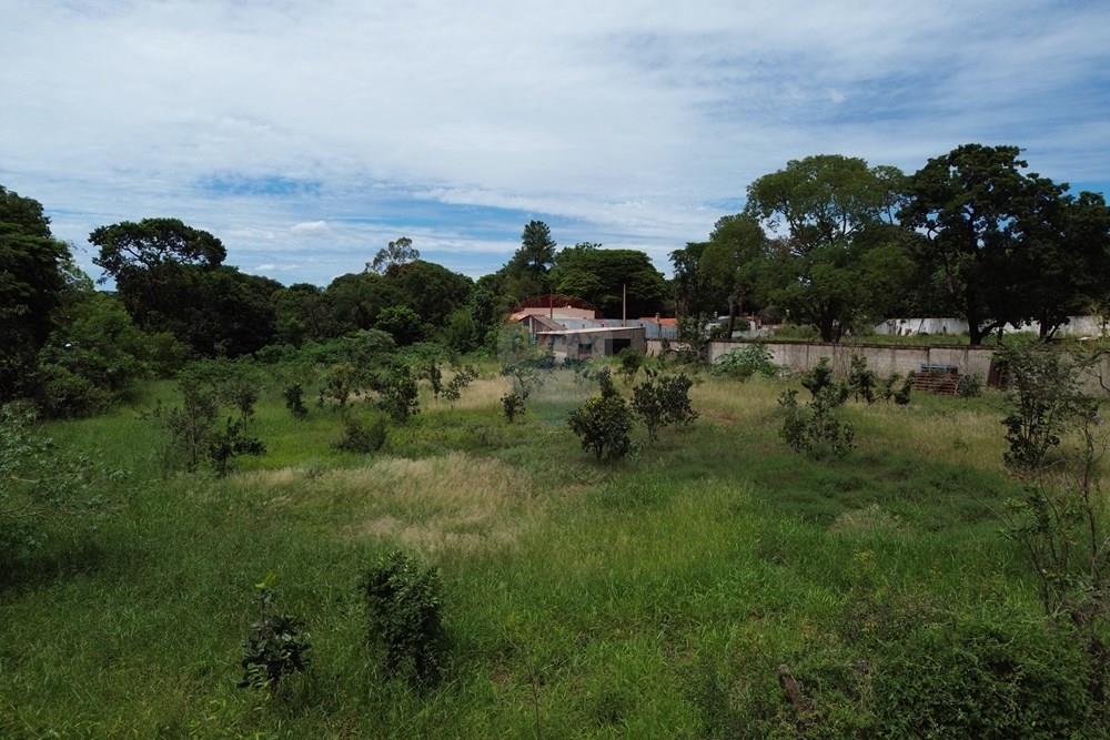 Terreno - Venda - Ribeirão Preto , São Paulo - DJI_0905.JPG - 780171030-72