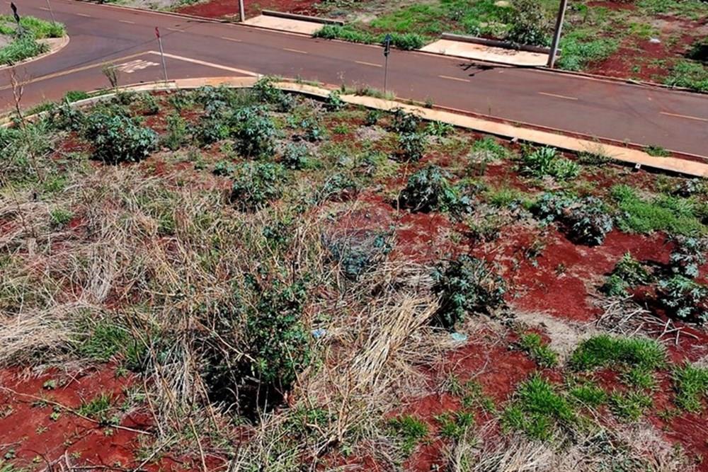Terreno - Venda - Ribeirão Preto , São Paulo - 6.jpeg - 780251022-9