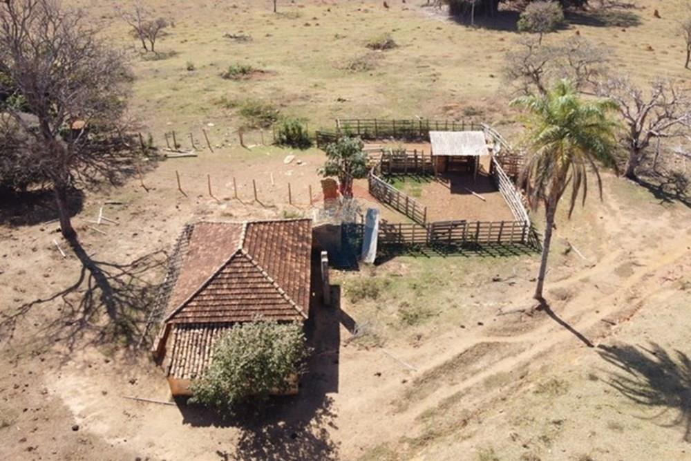 Agro - Venda - Guapé , Minas Gerais - Fazenda Guape 14.jpg - 780071051-6