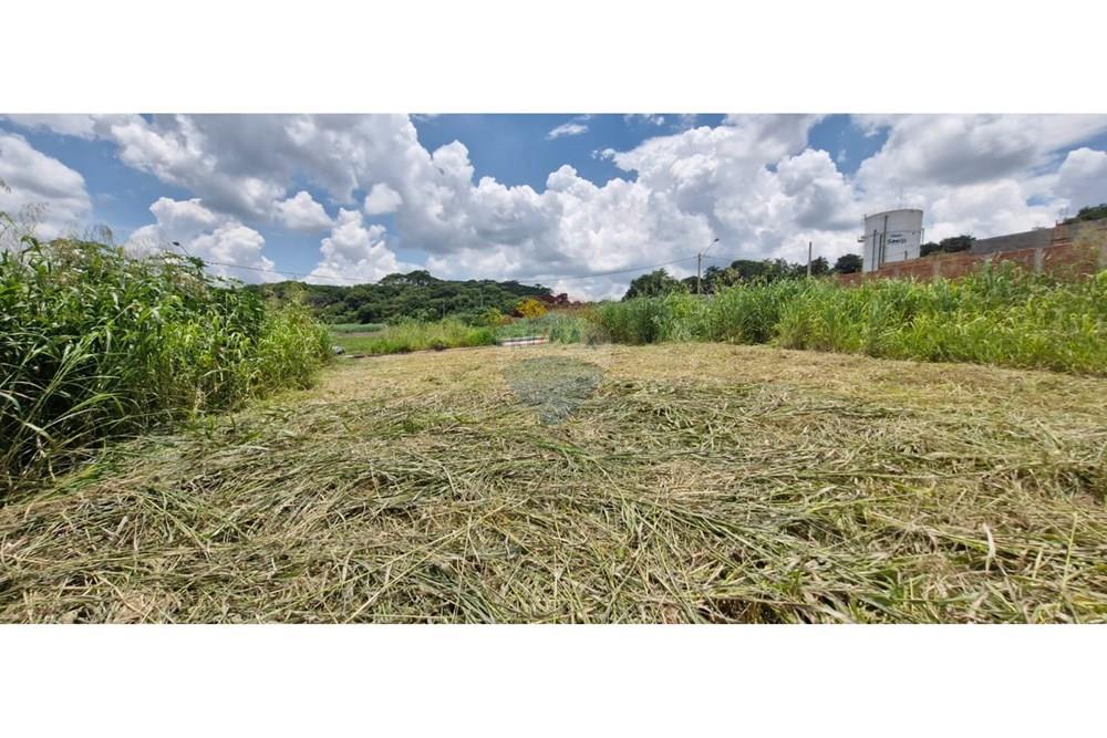 Terreno - Venda - Ribeirão Preto , São Paulo - WhatsApp Image 2025-01-13 at 18.45.44 (2).jpeg - 780181011-259