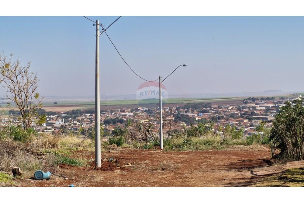 Chácara / Sítio / Fazenda - Venda - Dumont , São Paulo - WhatsApp Image 2025-09-03 at 09.53.18 (12).jpeg - 780181011-281