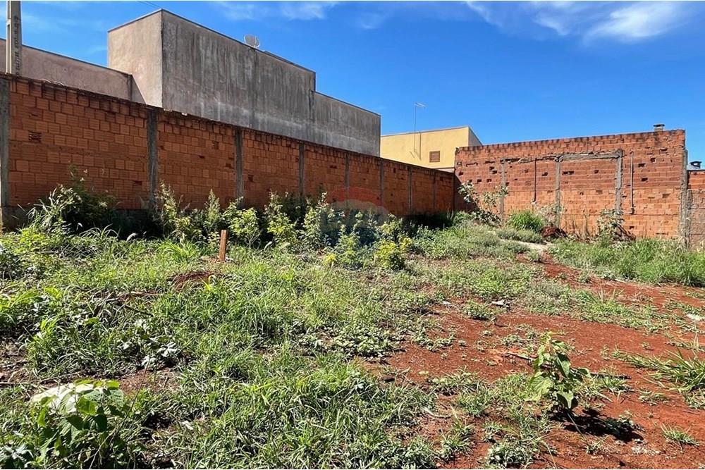 Terreno - Venda - São Joaquim da Barra , São Paulo - IMG-20251126-WA0072.jpg - 780301001-20