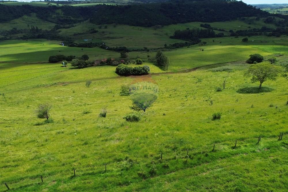 Fazenda - Venda - Cajuru , São Paulo - DJI_0041.JPG - 780171030-74
