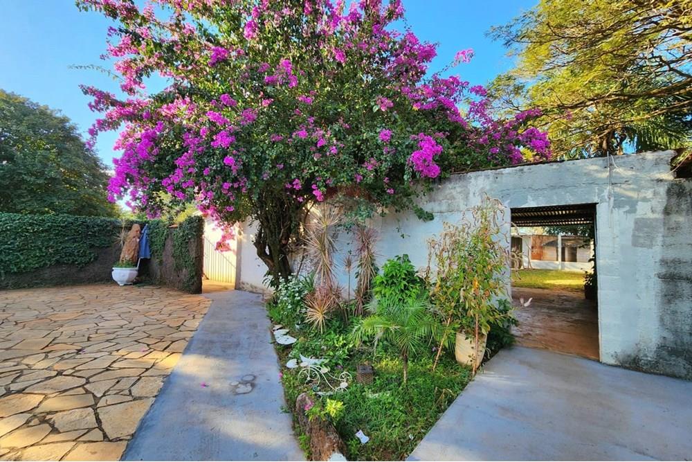 Chácara / Sítio / Fazenda - Venda - Ribeirão Preto , São Paulo - WhatsApp Image 2025-06-27 at 10.59.01.jpeg - 780091032-138