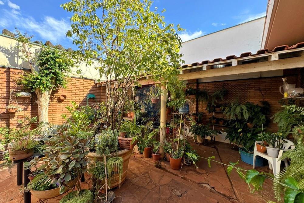 Prédio - Venda - Ribeirão Preto , São Paulo - IMG_3770.JPG - Jardim Interno - 780151032-47