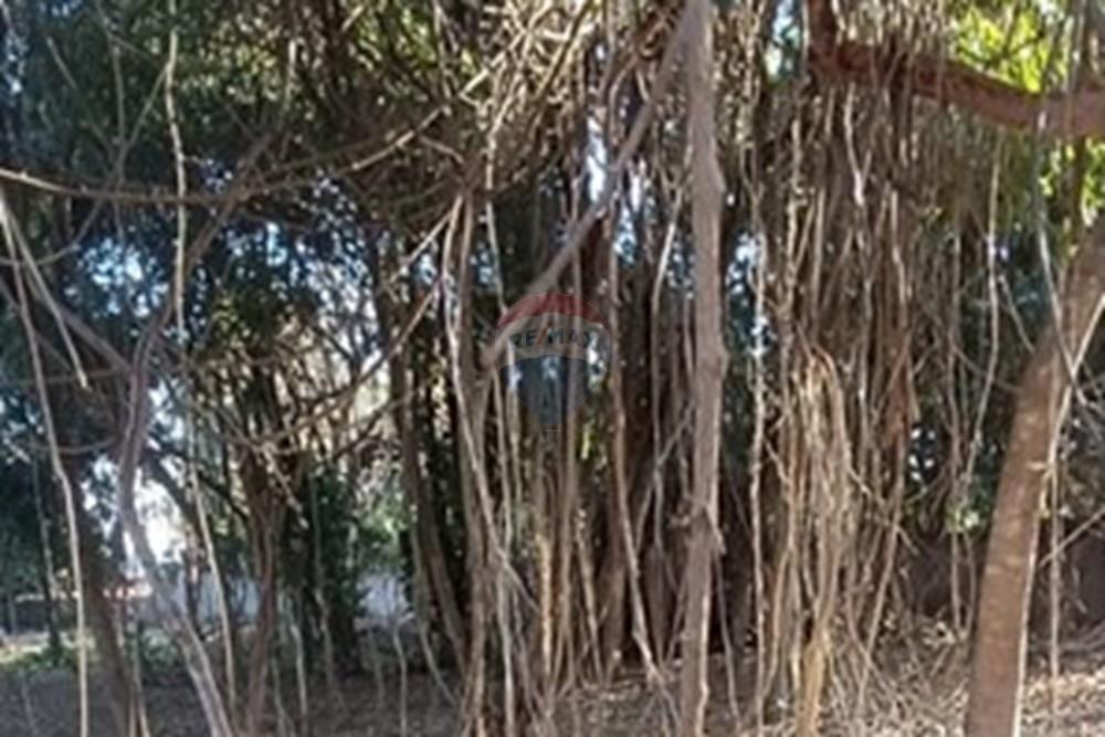 Chácara / Sítio / Fazenda - Venda - Franca , São Paulo - IMG-20251015-WA0018.jpg - 780231075-4