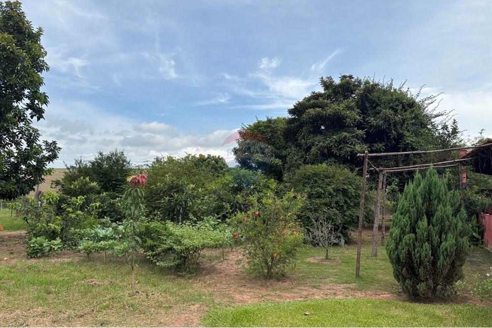 Chácara / Sítio / Fazenda - Venda - Santa Rosa de Viterbo , São Paulo - IMG_3194.jpeg - 780091003-51