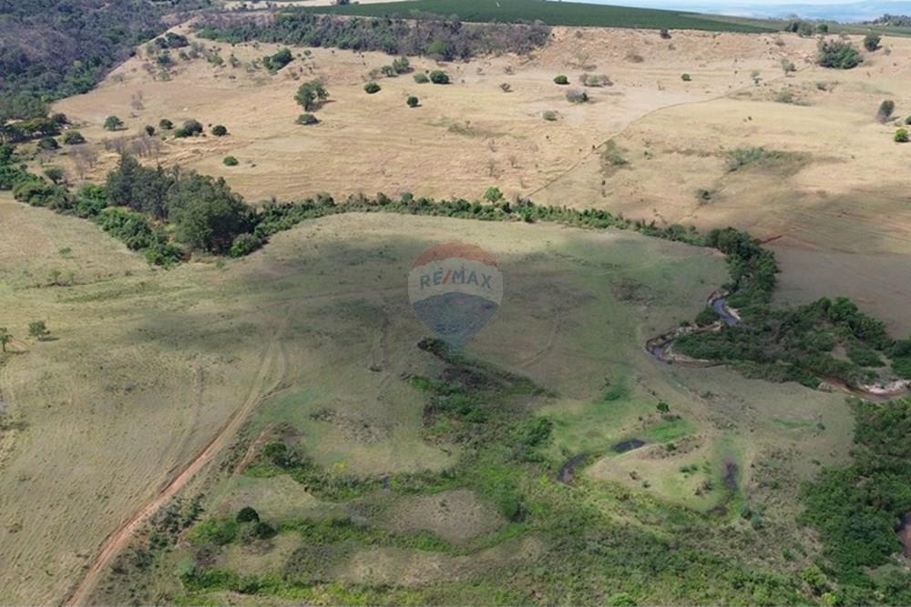 Chácara / Sítio / Fazenda - Venda - Cajuru , São Paulo - DJI_0282.JPG - 780171030-77