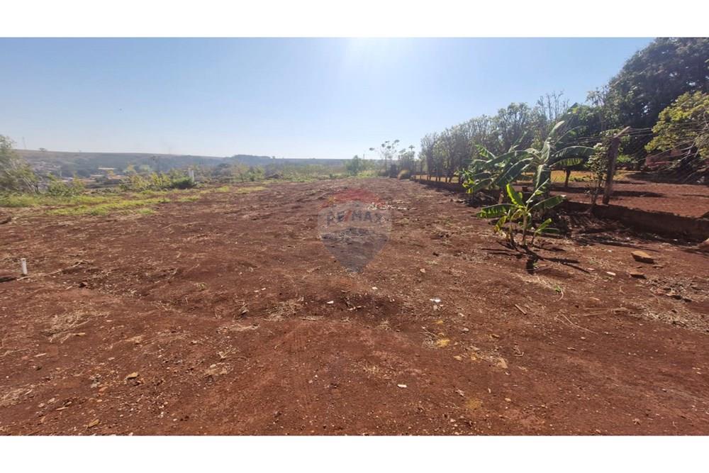 Chácara / Sítio / Fazenda - Venda - Dumont , São Paulo - WhatsApp Image 2025-09-03 at 09.53.18 (2).jpeg - 780181011-281