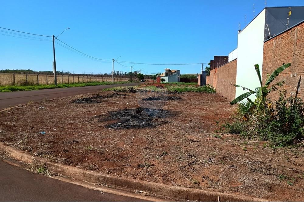 Terreno - Venda - São Joaquim da Barra , São Paulo - IMG-20251023-WA0074.jpg - 780301004-7